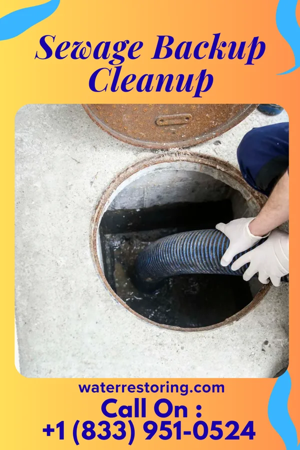 Sewage Backup Cleanup in La Follette, TN