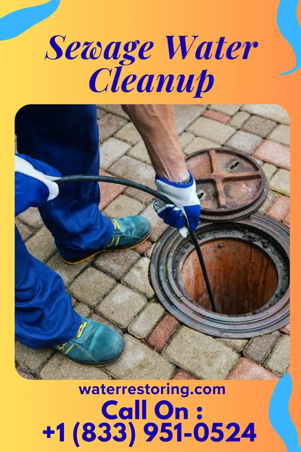Sewage Water Cleanup in La Follette, TN