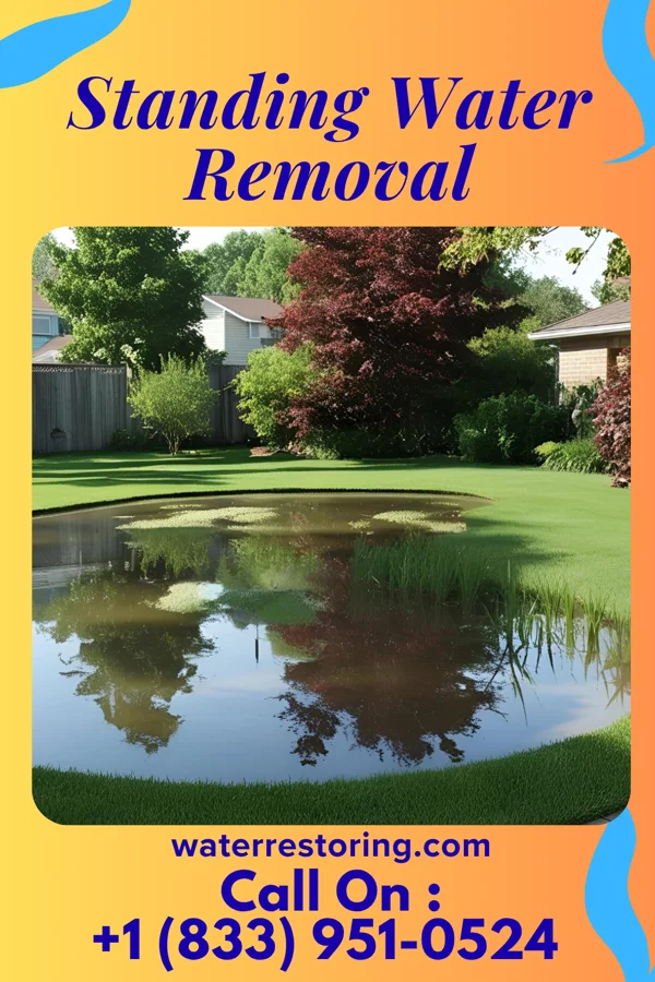 Standing Water Removal in La Follette, TN